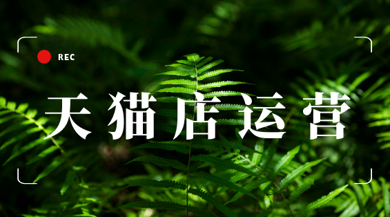 天猫店运营PC (17).png
