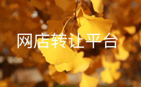 ç½åºè½¬è®©å¹³å°PC.png