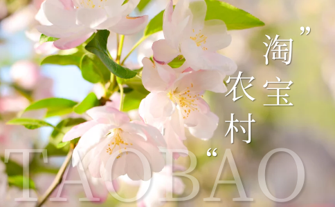 农村淘宝PC (2).png